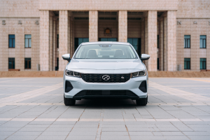 Embargo de coches en Cataluña